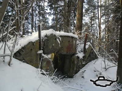 tl251